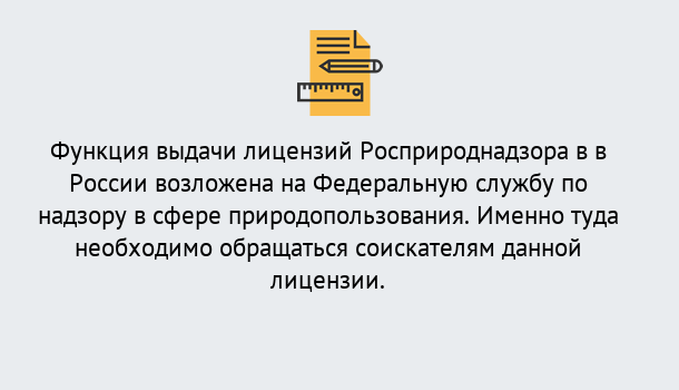 Почему нужно обратиться к нам? Великие Луки Лицензия Росприроднадзора. Под ключ! в Великие Луки