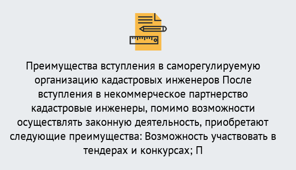 Почему нужно обратиться к нам? Великие Луки Что дает допуск СРО кадастровых инженеров?