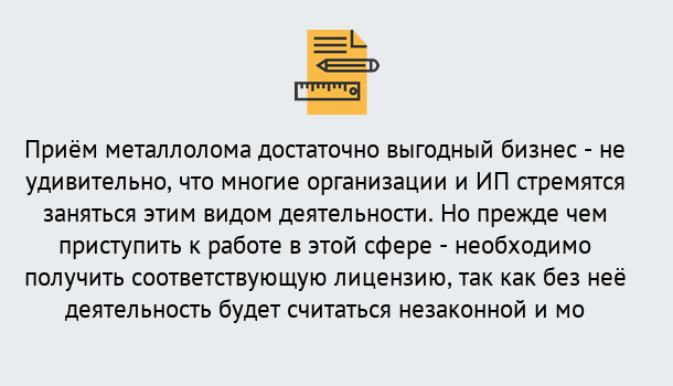 Почему нужно обратиться к нам? Великие Луки Лицензия на металлолом. Порядок получения лицензии. В Великие Луки