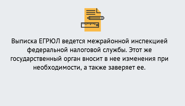 Почему нужно обратиться к нам? Великие Луки Выписка ЕГРЮЛ в Великие Луки ?