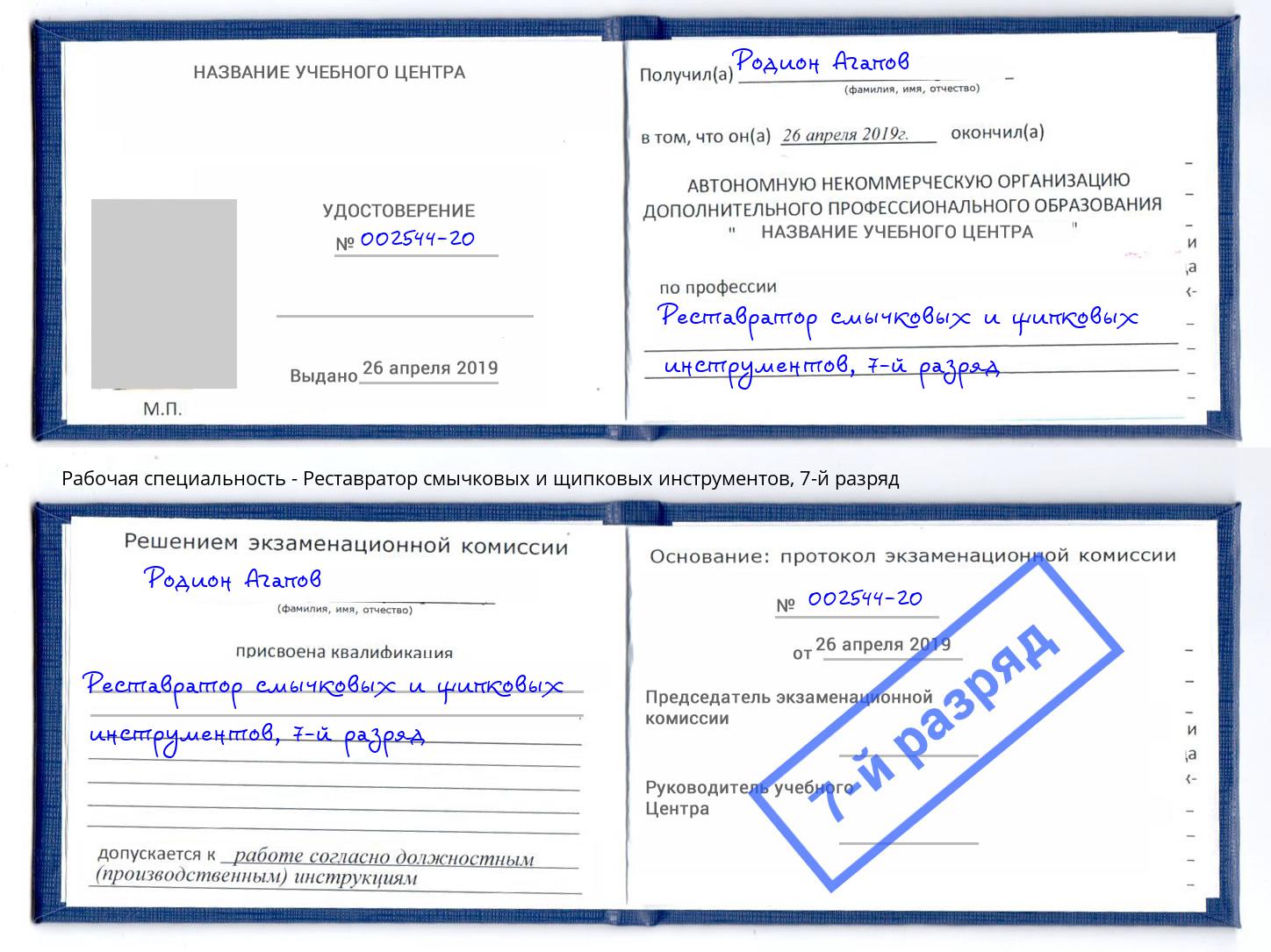 корочка 7-й разряд Реставратор смычковых и щипковых инструментов Великие Луки